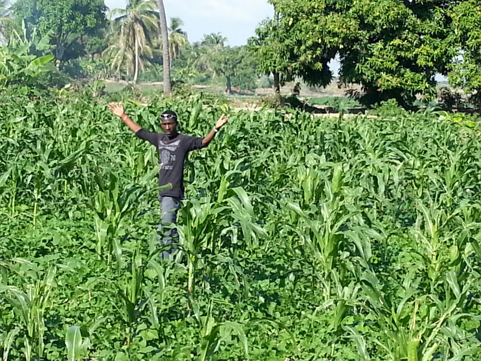It may be cold in Binghamton, but the sun is shining on the garden in Haiti!