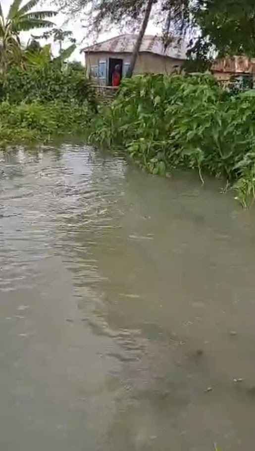 Flood Update from Grande Saline